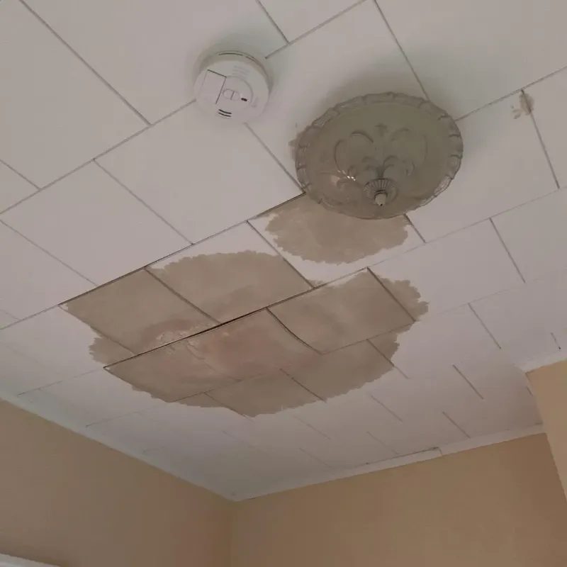 Ceiling Water Damage Repair in Midland, TX