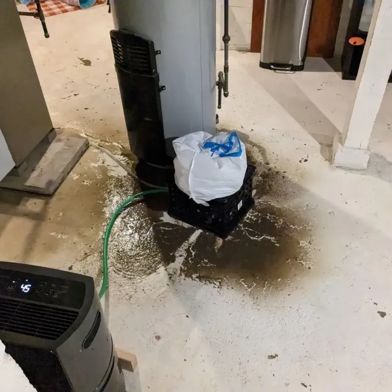 Sewage Backup Cleanup Service in Midland, TX